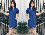 Everleigh Korean denim dress