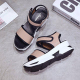 Carly Korean Shoes