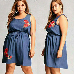 Sydney Embroidered denim dress